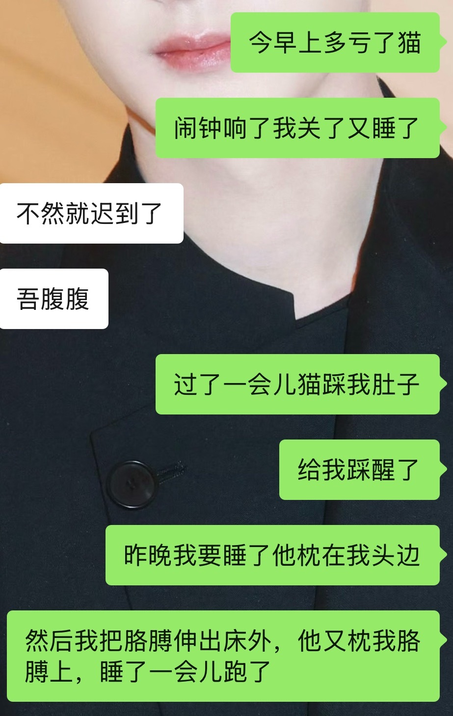 爵士豪猫 ​​​