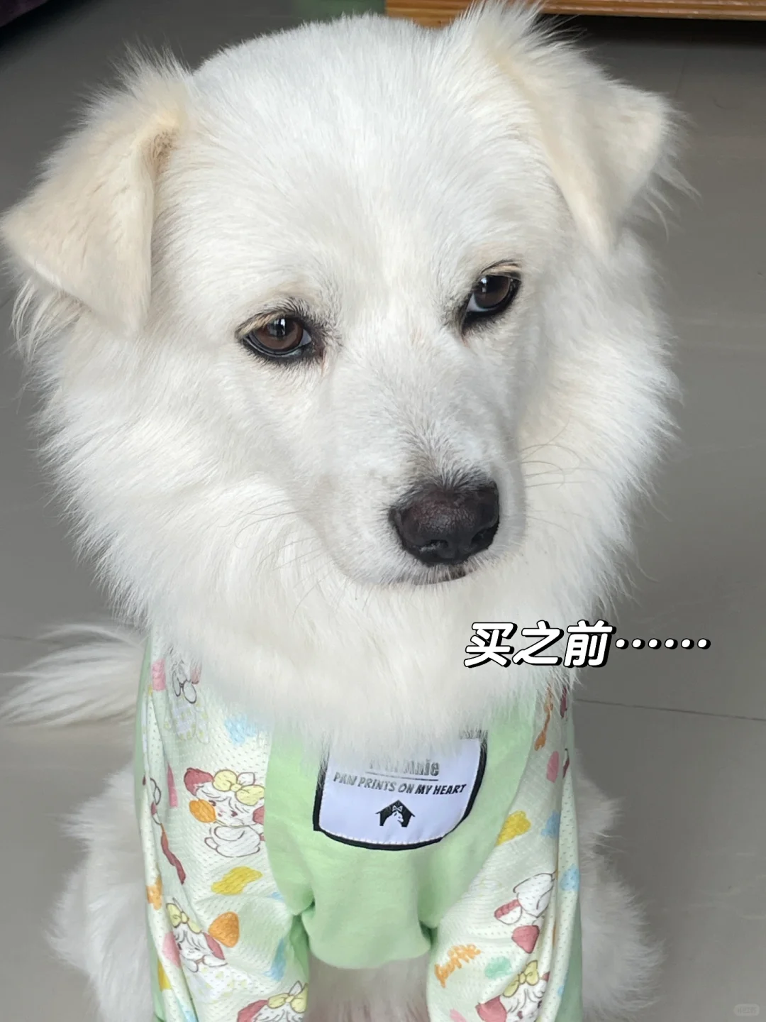 她非要吵着买这个