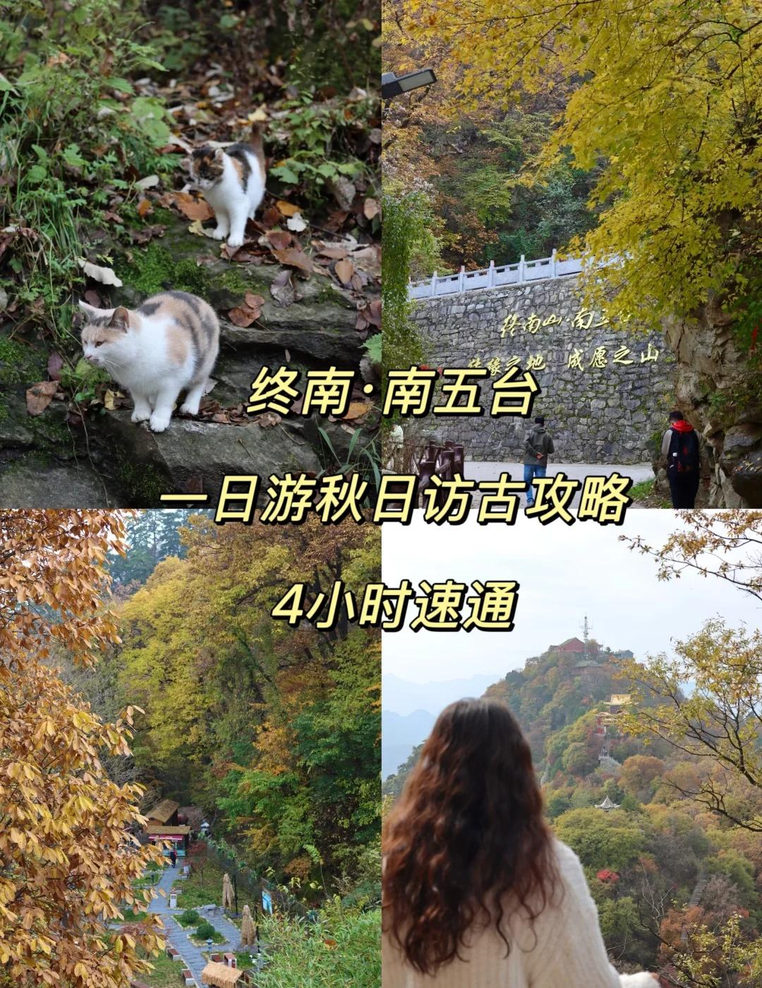 终南山·南五台⛰️一日游秋日访古攻略🍁
终南山的秋太会藏了！沿着「红叶伴禅」路