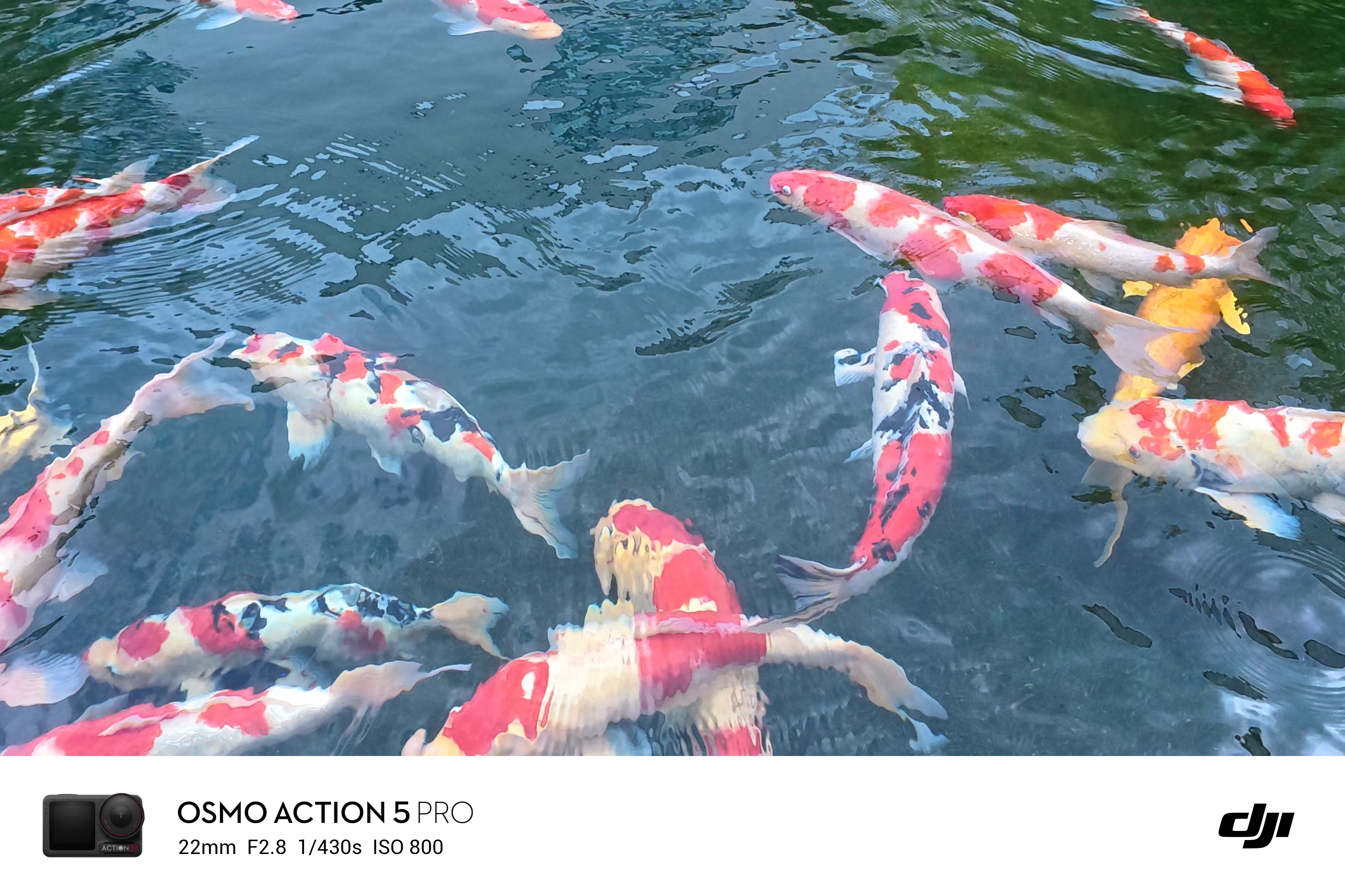 哎嘿～微博可以发live图哦～蜗的摄影日记大疆 ​​​