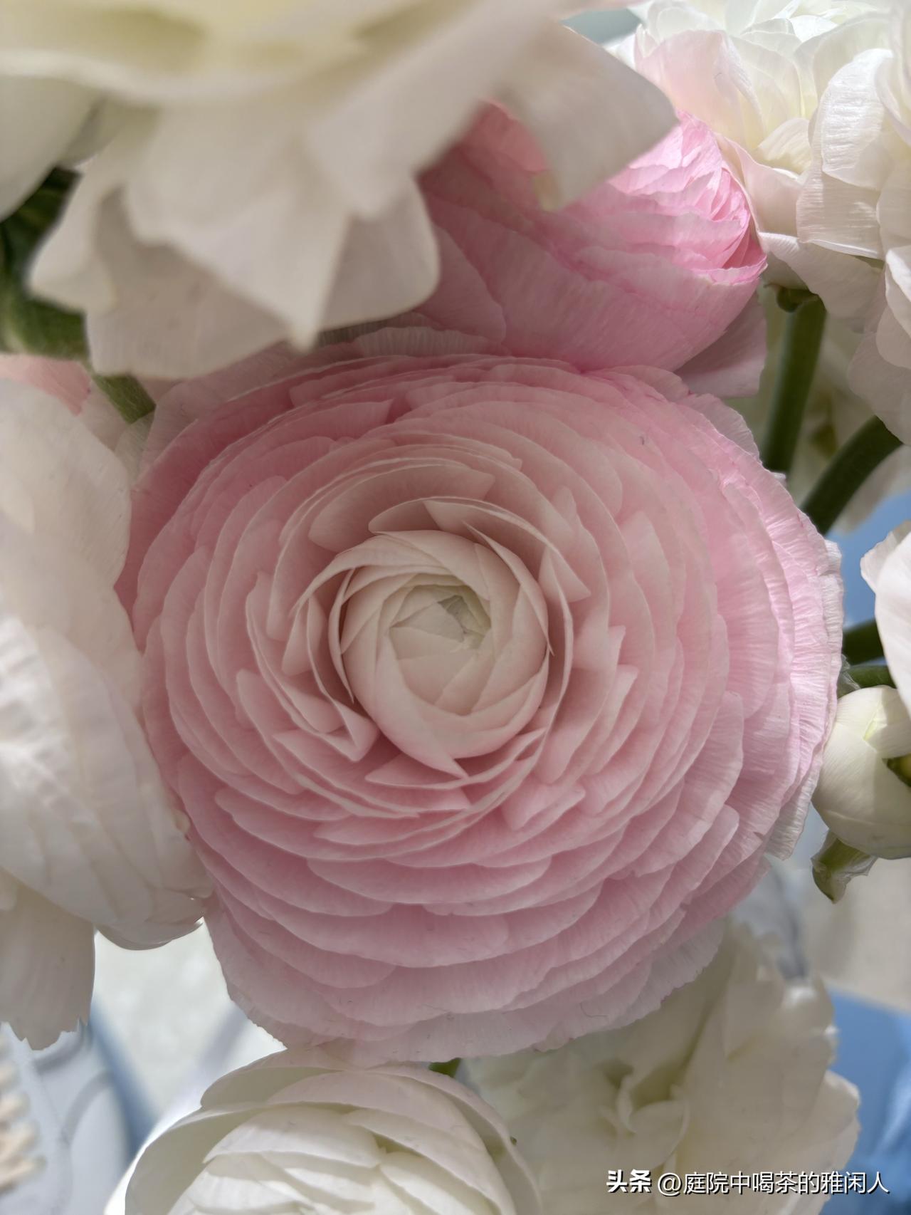 很多人对钱没有概念，总觉得月薪五千和六千只差一千块，没什么大不了，可真正算过一笔