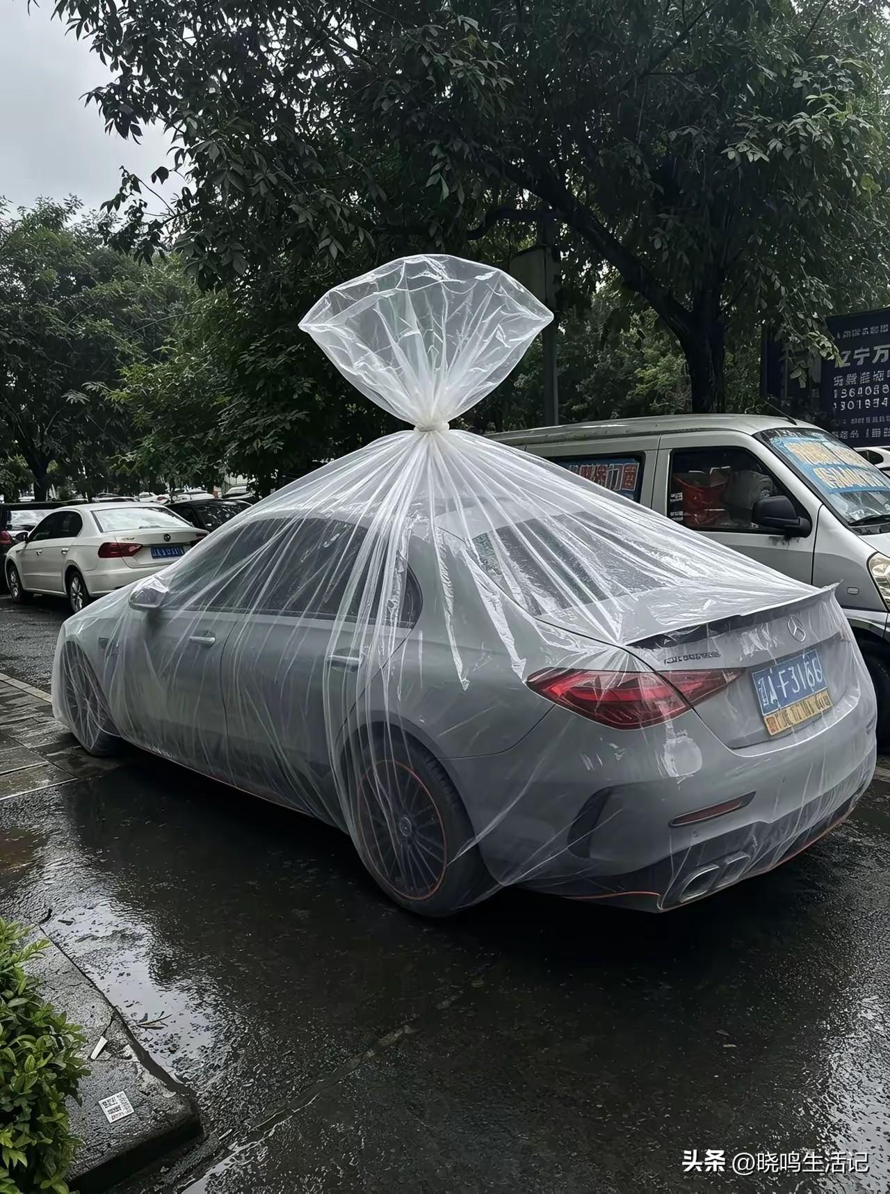 这种特大号袋子，应该比车衣便宜，防尘效果也更好吧