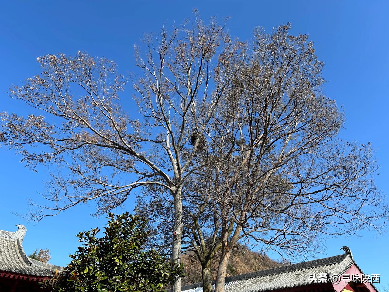 登山看寺，秦岭山库峪摩诃慈恩寺西安生活 @小冰 @头条本地通