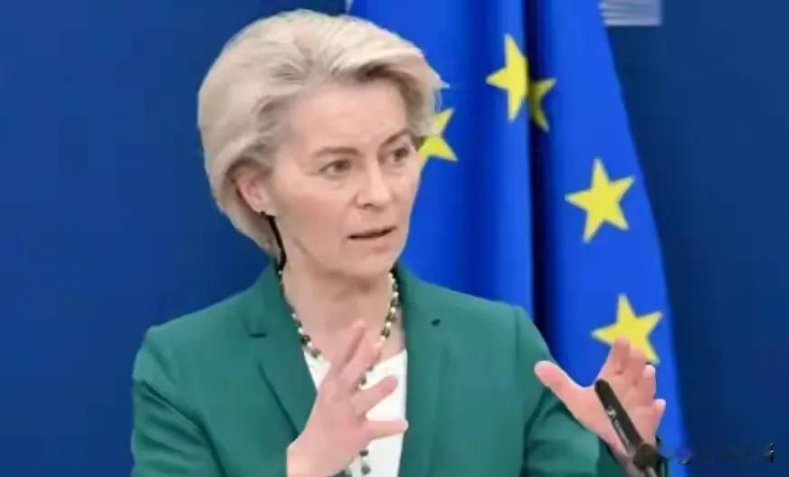 欧盟最近搞了个《网络安全法2.0》，明摆着是冲中国来的。这事儿说来可笑，他们一边