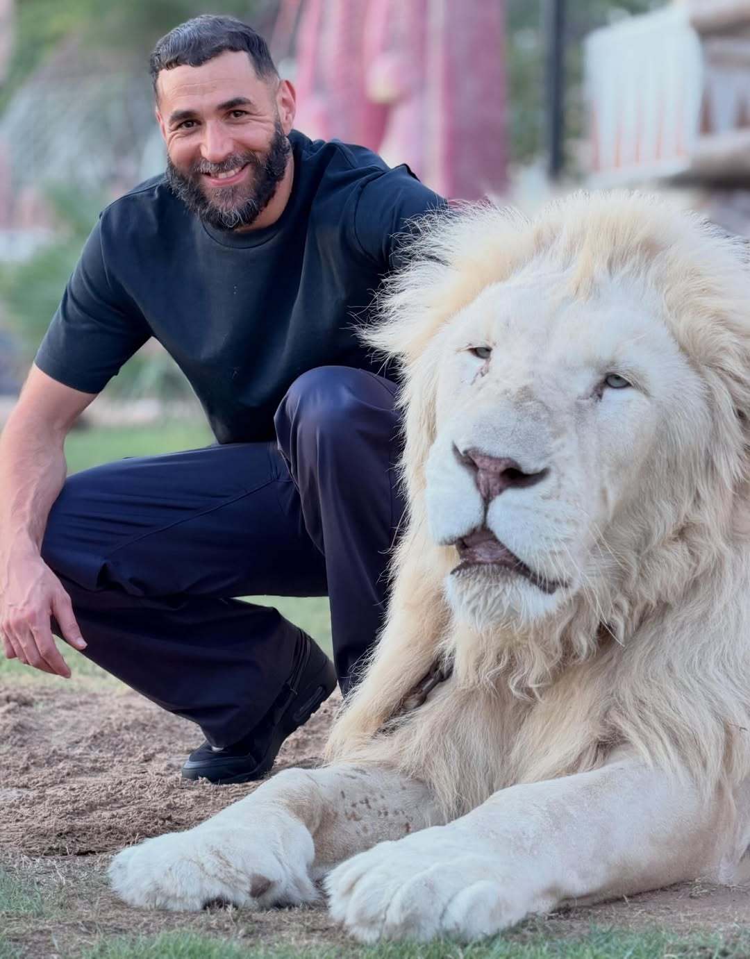 🦖 x 🦁本泽马halamadrid
