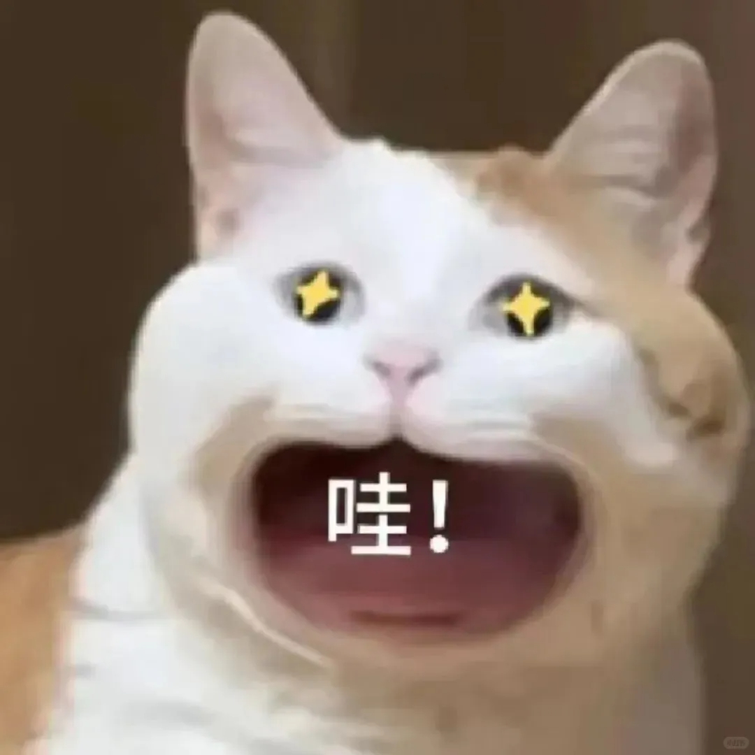 马斯克冲击全球首位万亿美元富翁 这么有钱的嘛，世界首富