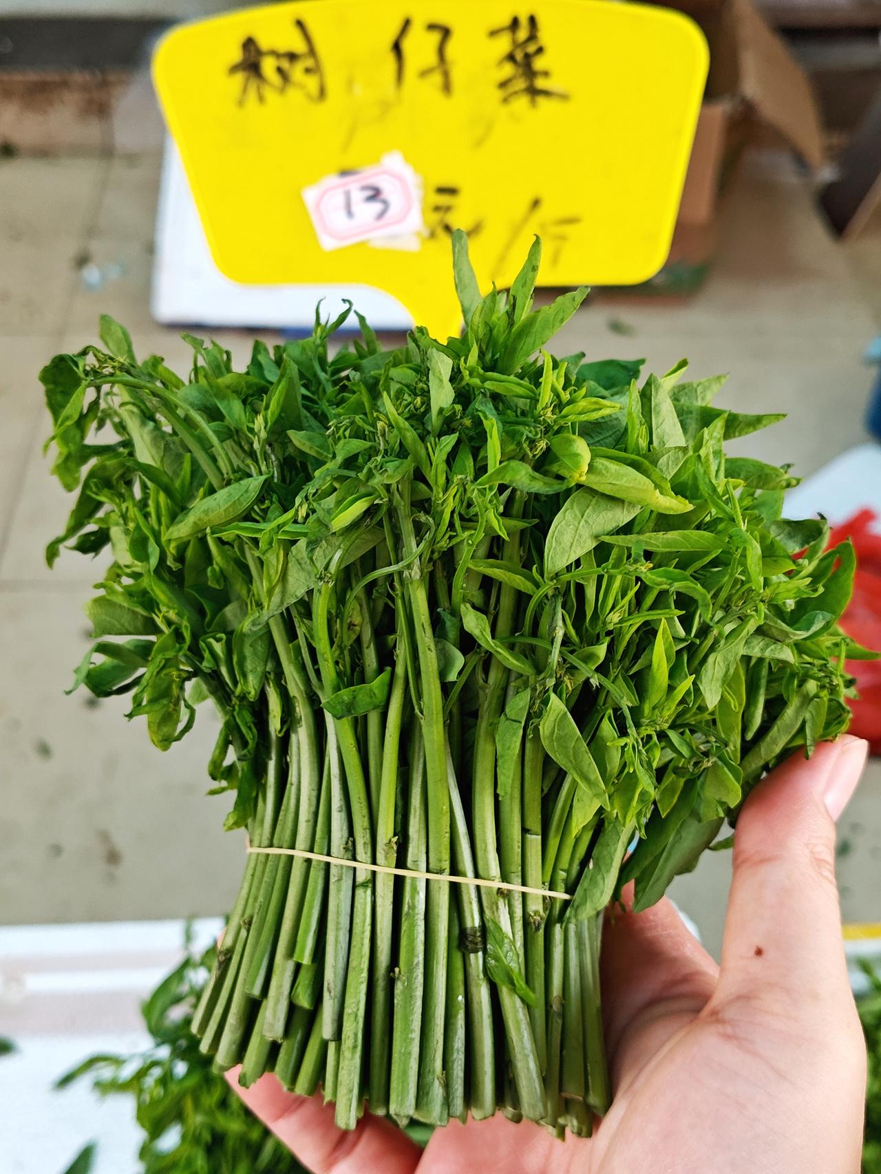 树仔菜（守宫木的嫩茎芽）13/斤，这才正常，之前同一家卖25，抢钱呢！（广州荔塱