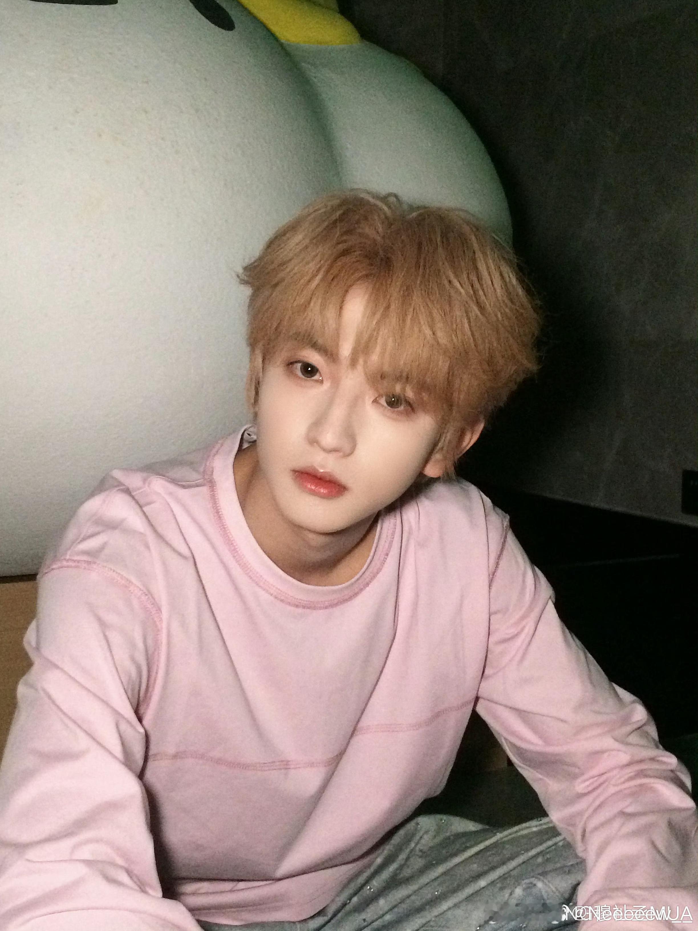 🍊 “星星在夜晚散落，太阳渐渐聚集橘黄，斜阳落在你身 黛眉满是温柔.”