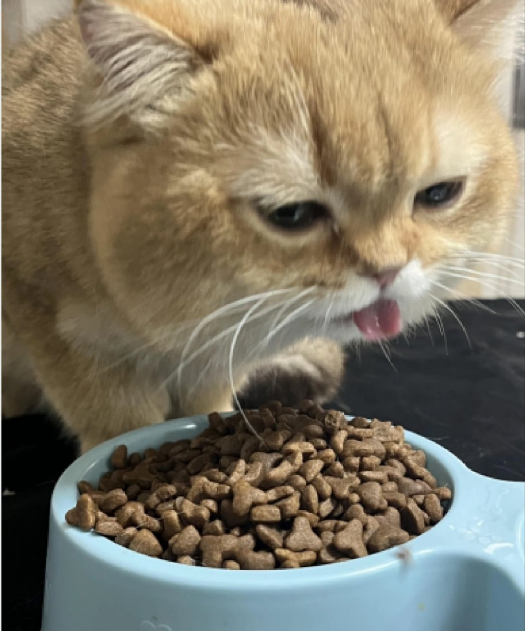 这次猫粮抽检能把问题摆出来，其实是好事。把不合格、不达标的产品揪出来，对铲屎官、