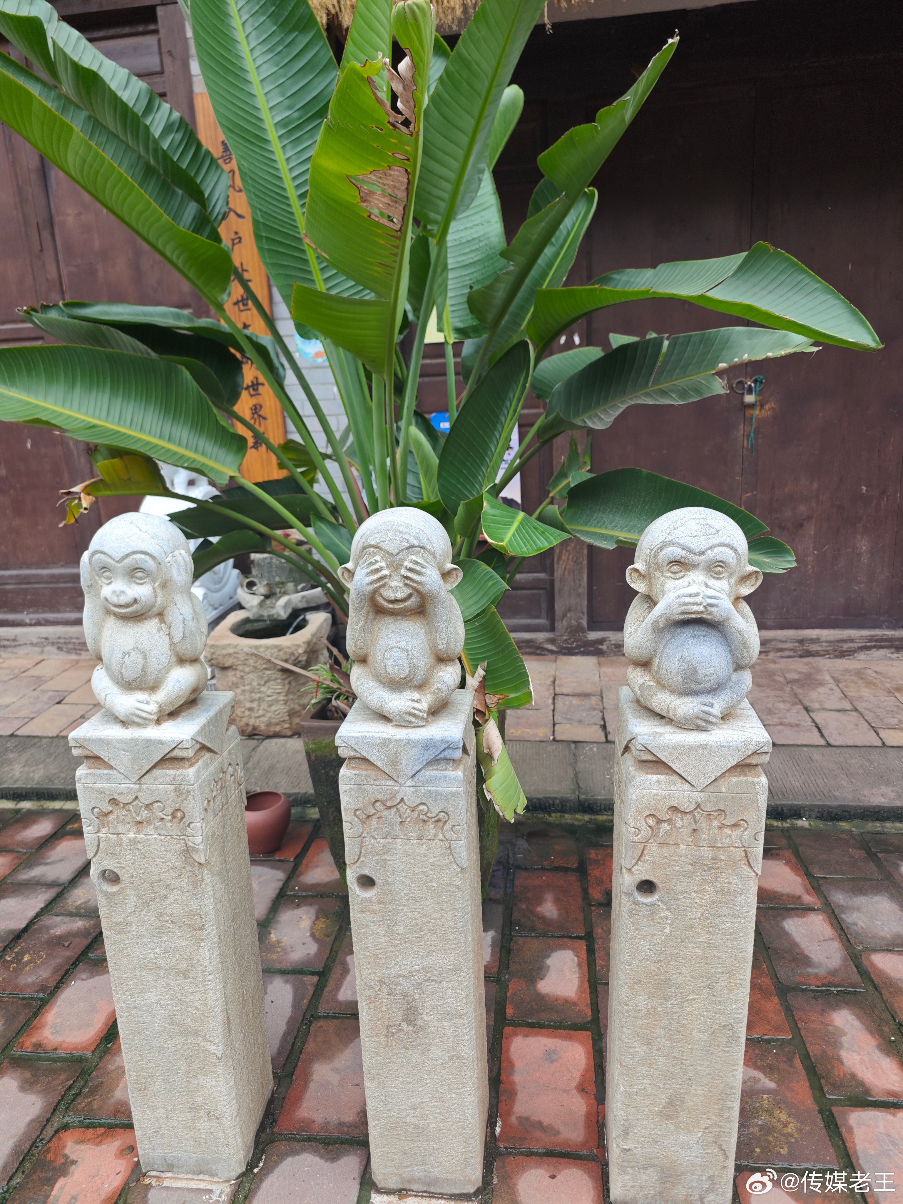 这世界没有任何一句话，可以让你醍醐灌顶。真正叫你灌顶的，只能是一段经历。    