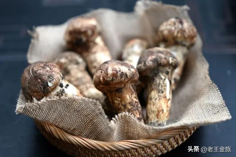 景区的农家乐是否受欢迎，不能一概而论。
有些农家乐确实很受欢迎。像曲江的农家乐，