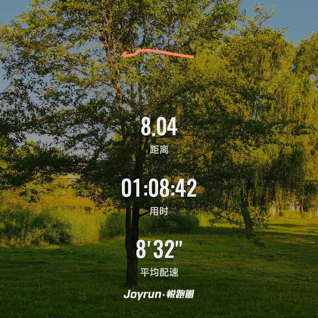 不追求速度吹着夏日清晨的微风，稳步向前，慢跑是调养身心最好的方式。 