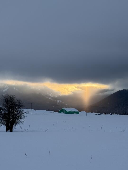 禾木今天美惨了