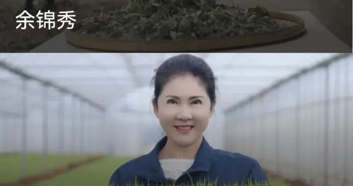 殷玉珍获国际大奖！“brother”赛考斯祝贺