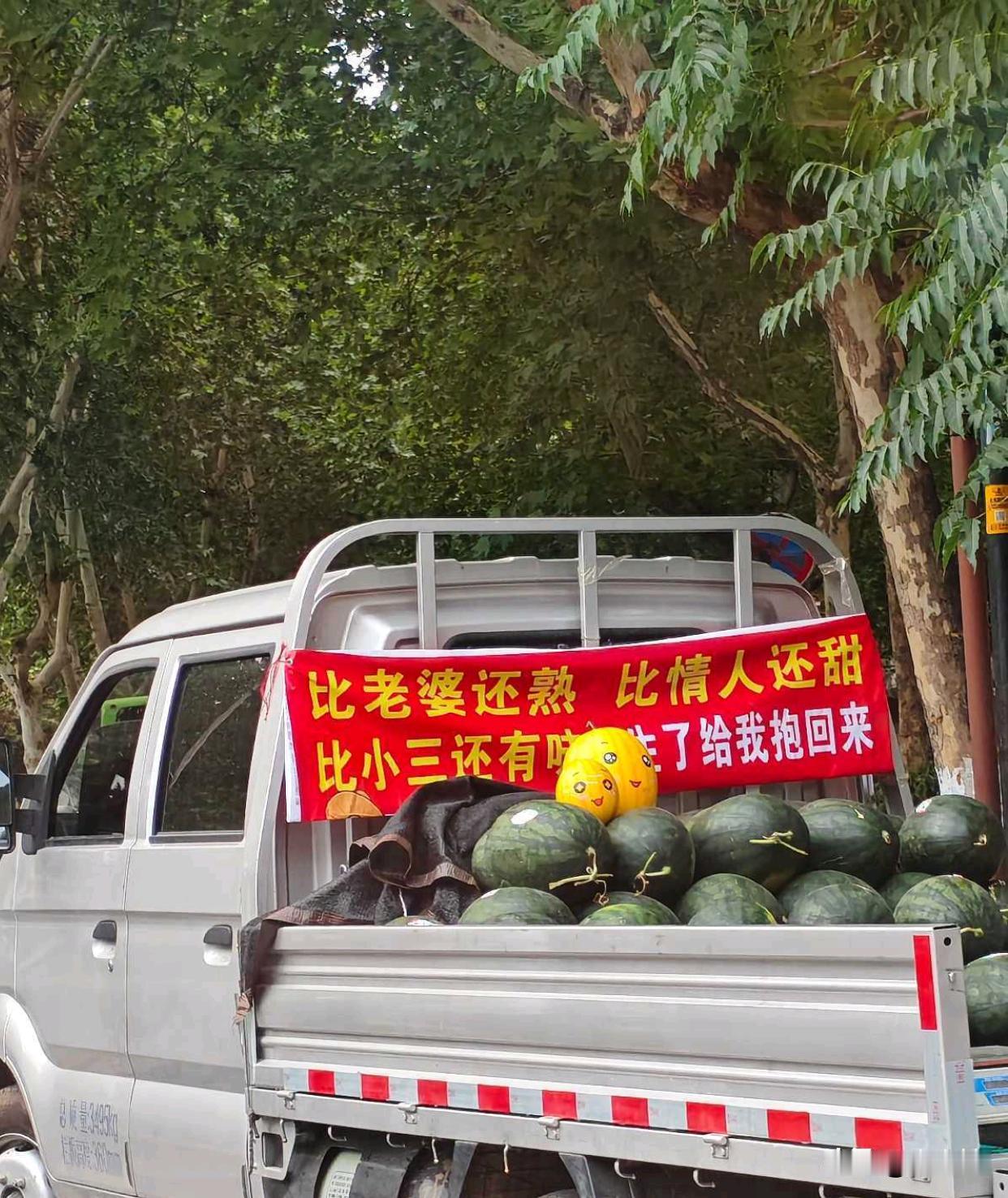 这瓜老板的广告写的也太好了
