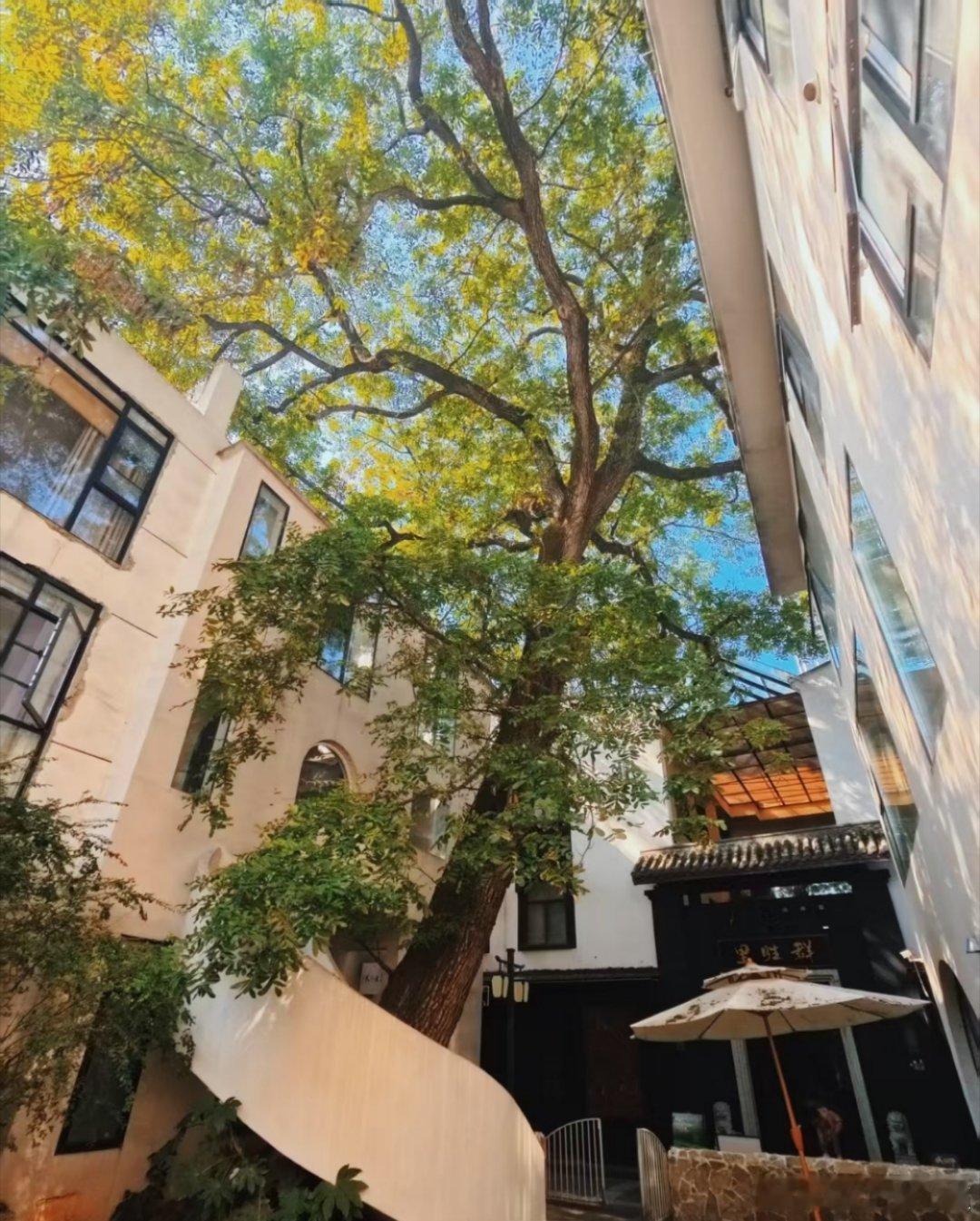 🔅每日‬一善 🔅 日落是免费的，春夏秋冬也是，不要觉得人生是那么平淡，希望你