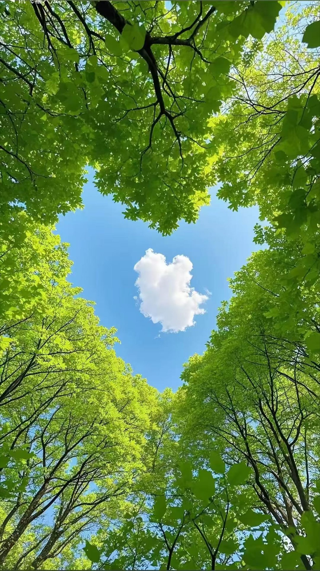 这两天的温度断崖式下跌昨天上午还在过夏天，下午就穿外套了今天温度下降到了十几度早