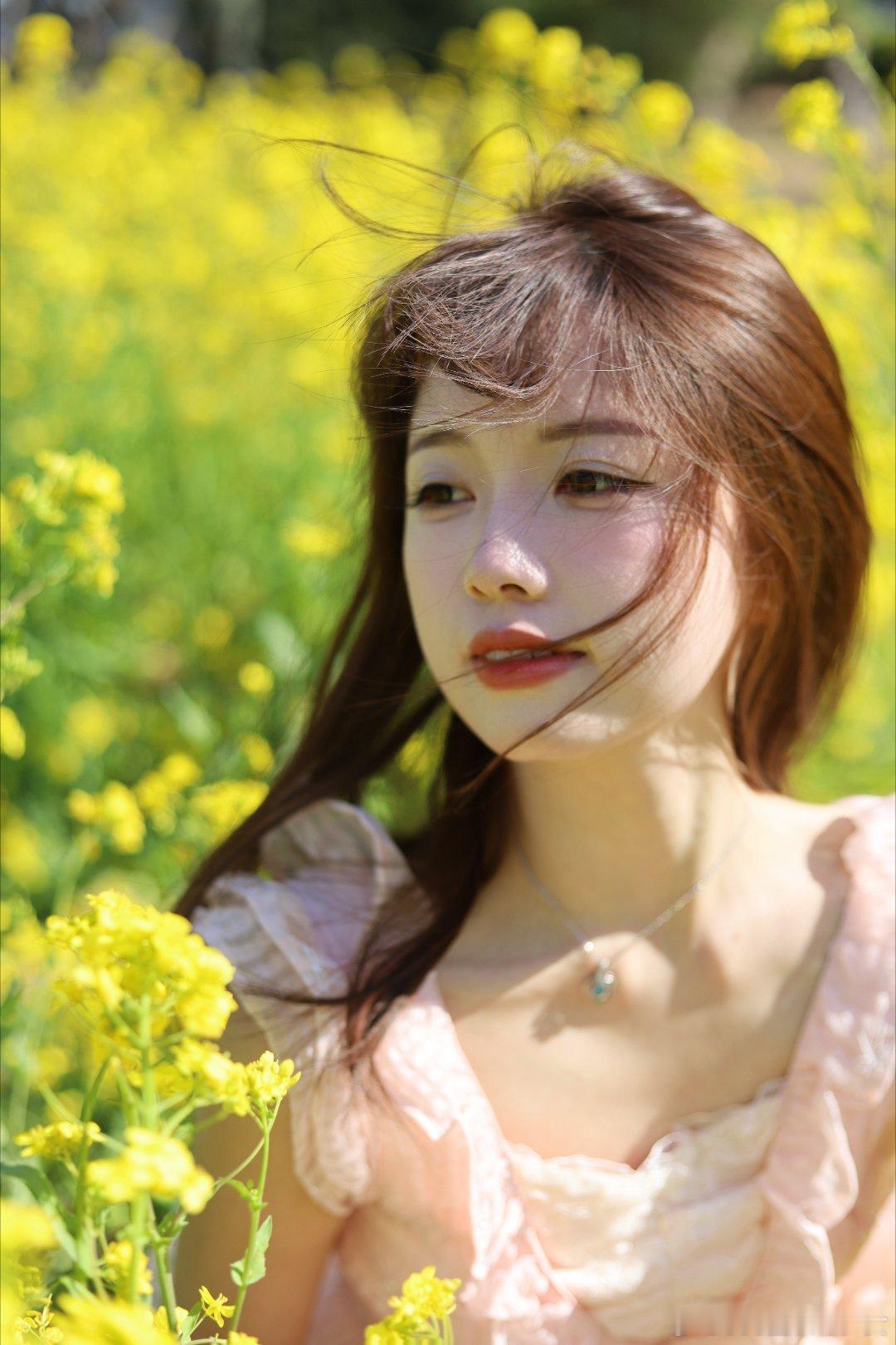 黄色的初夏建议找个晴天下午四点半以后去拍～穿个小白裙，或者jk，会很出片📸 ​