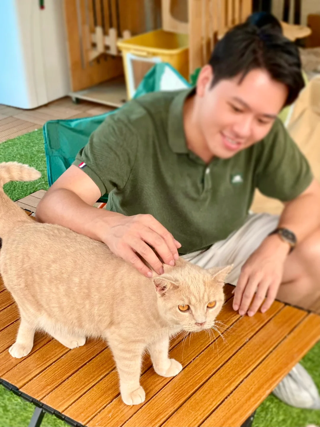 周末来撸猫，真的好放松啊！