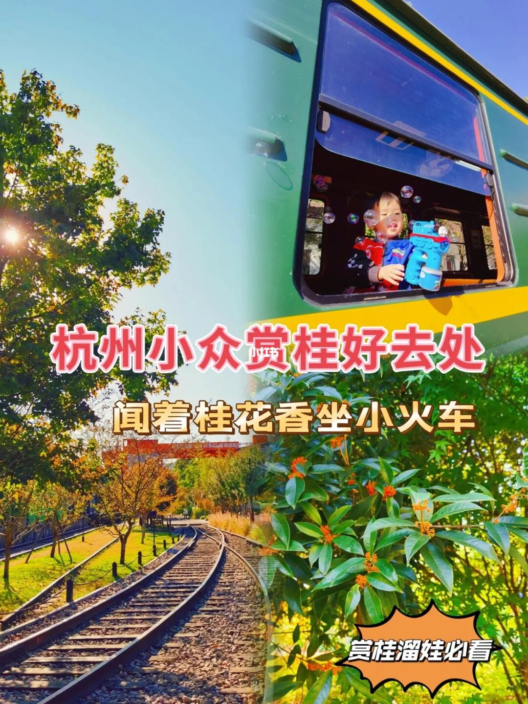 杭州溜娃，一定要来这文艺复古的火车公园