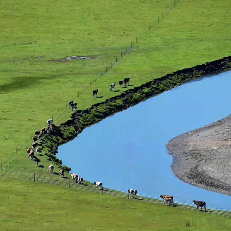 一个男的，要是还惦记你，一定会主动联系你。没有例外。

男生是很直的物种——他能