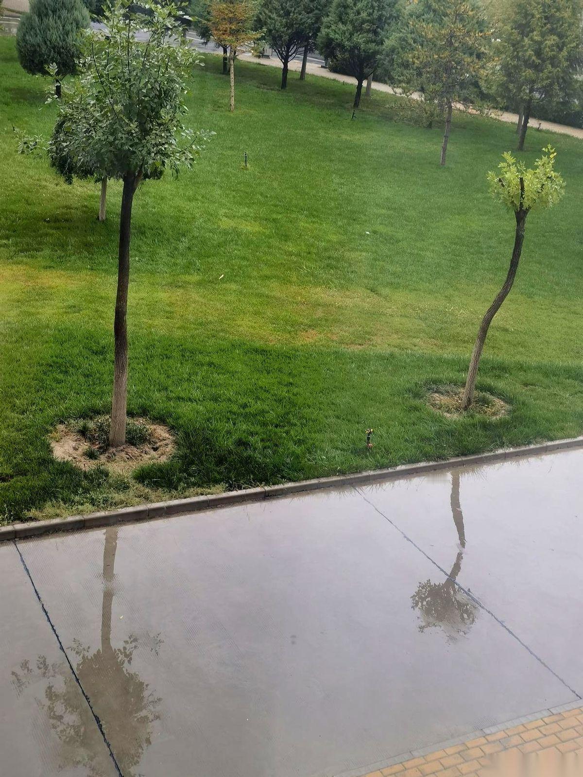我严重怀疑，老天爷是不是把全国的雨，都下到我们甘肃来了。
这天天下得，感觉家里的