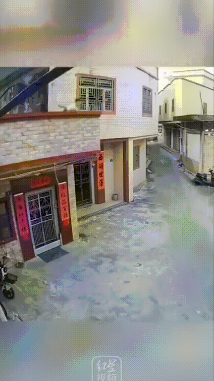 广东汕尾，一大姐骑着电瓶车刚停在墙边，还没来得及拔钥匙，就听见头顶传来一阵细细的