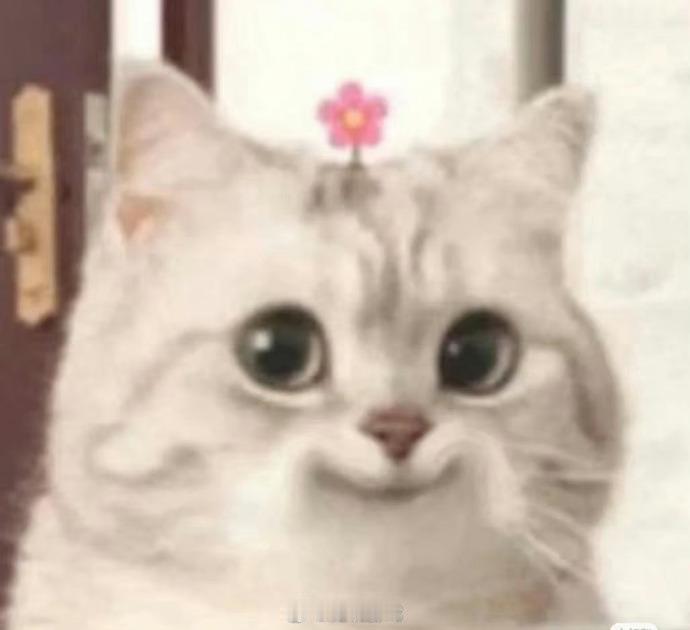 在大乱斗中哪个英雄你想摇到100次？[灵光一闪]
_______________