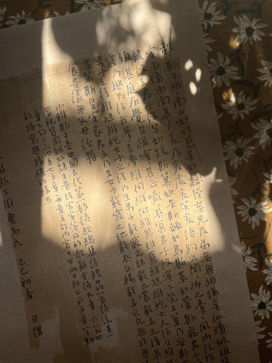 今天的书，树的光，是我现在
