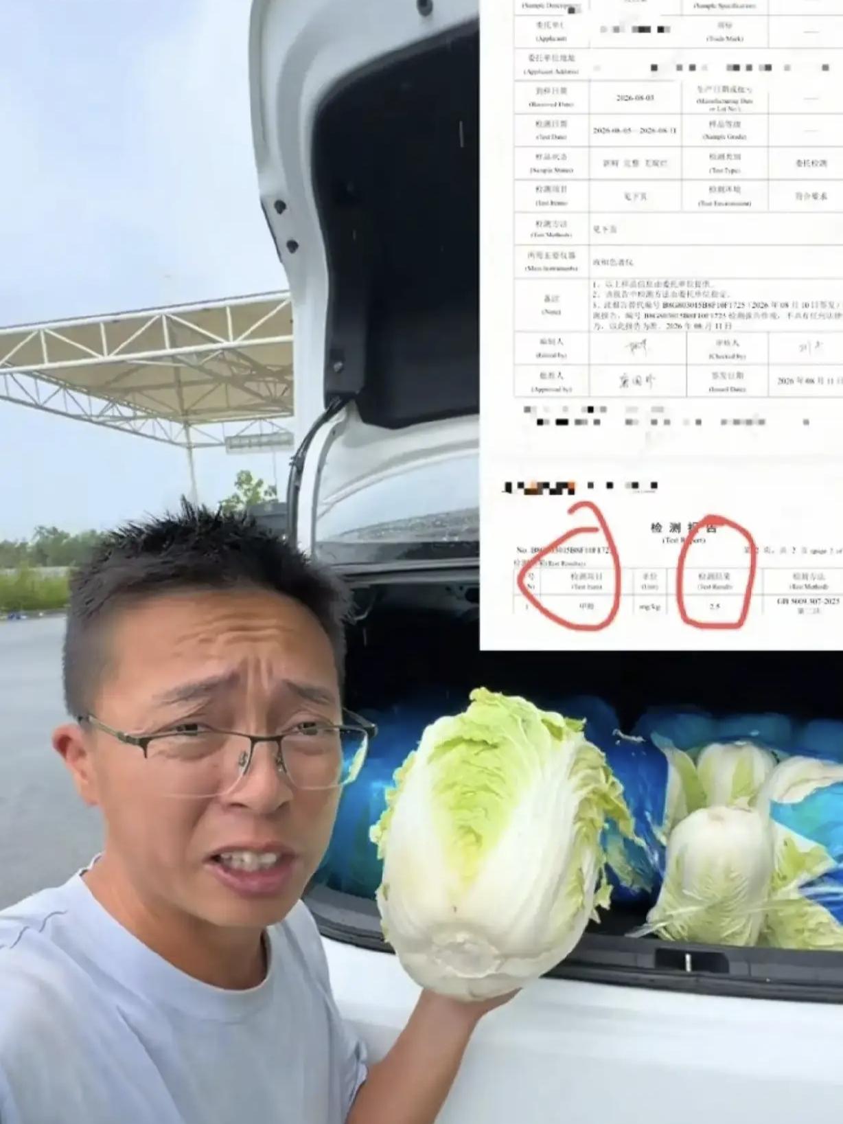 类似甲醛白菜这种违法事件，何时是个头？

前脚宁夏的枸杞和福建“毒杨梅”的事儿刚