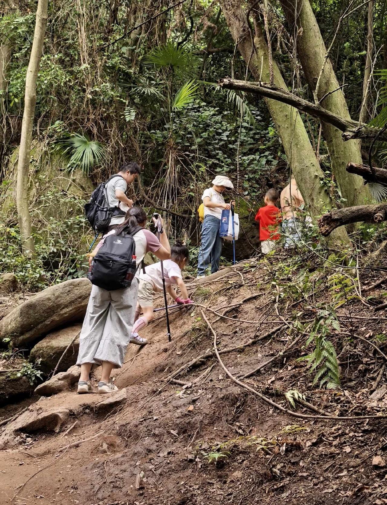 5岁半挑战彭州老鹰岩｜山野探险徒步✨
又带小朋友进山，体验一把野趣满满的徒步⛰️