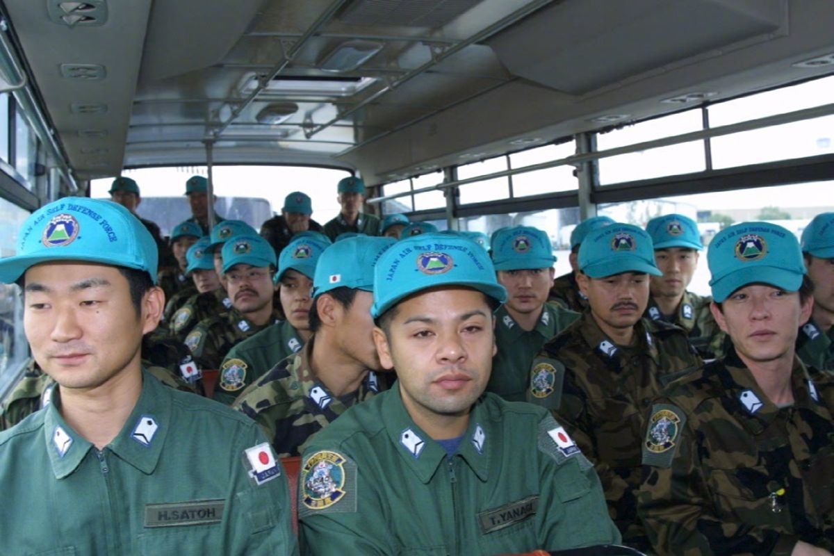 #日本考虑派自卫队应对熊出没#【日考虑派自卫队应对“熊出没”】#日本今年因熊袭击