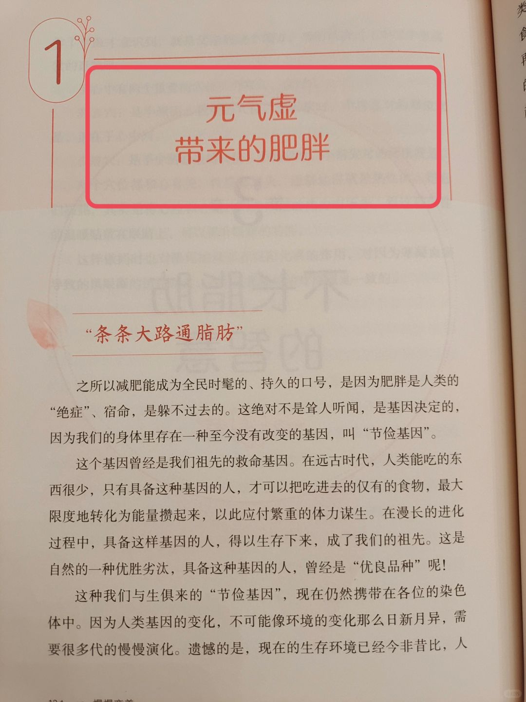 瘦肚子的智慧——学起来🔥🔥