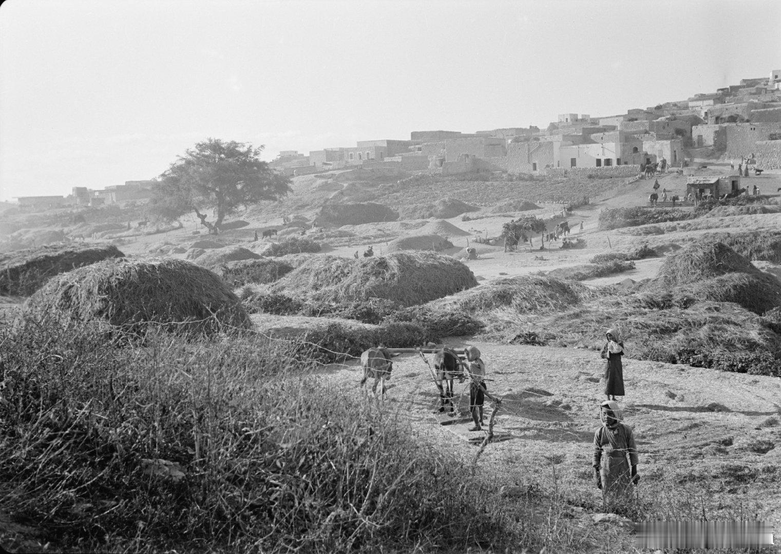 历史知识 老照片 1940年，位于巴勒斯坦加利利地区古镇塞佛瑞斯（Sepphor