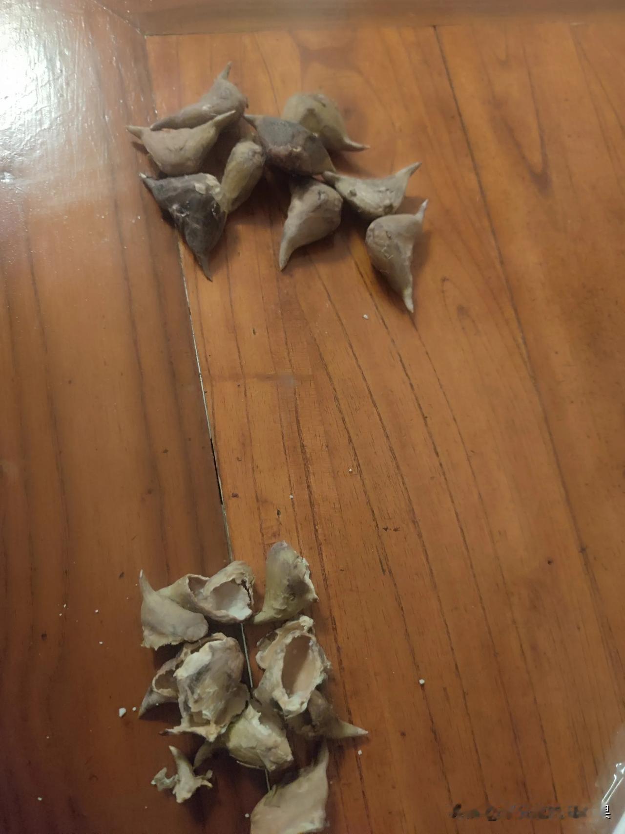 男的怕不是有什么大病吧

我真的好无语！

晚上吃过饭，看到白天婆婆买的菱角，我