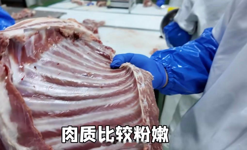 好家伙这家羊肉店从一开始只卖自家的羊到现在卖全县的羊，得亏了现在互联网时代，才能