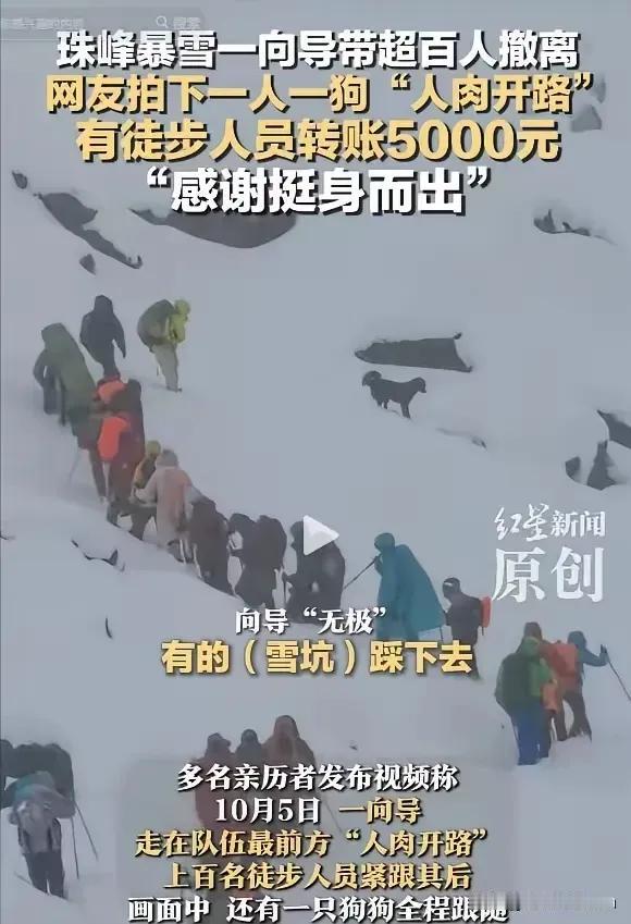 太暖心了！西藏珠峰突发暴雪，一向导冒死带百余人雪中撤离，还把狗派到前面带路，历经