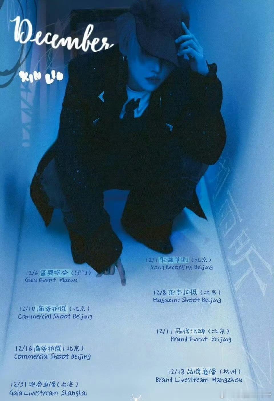 刘雨昕12月行程满满 