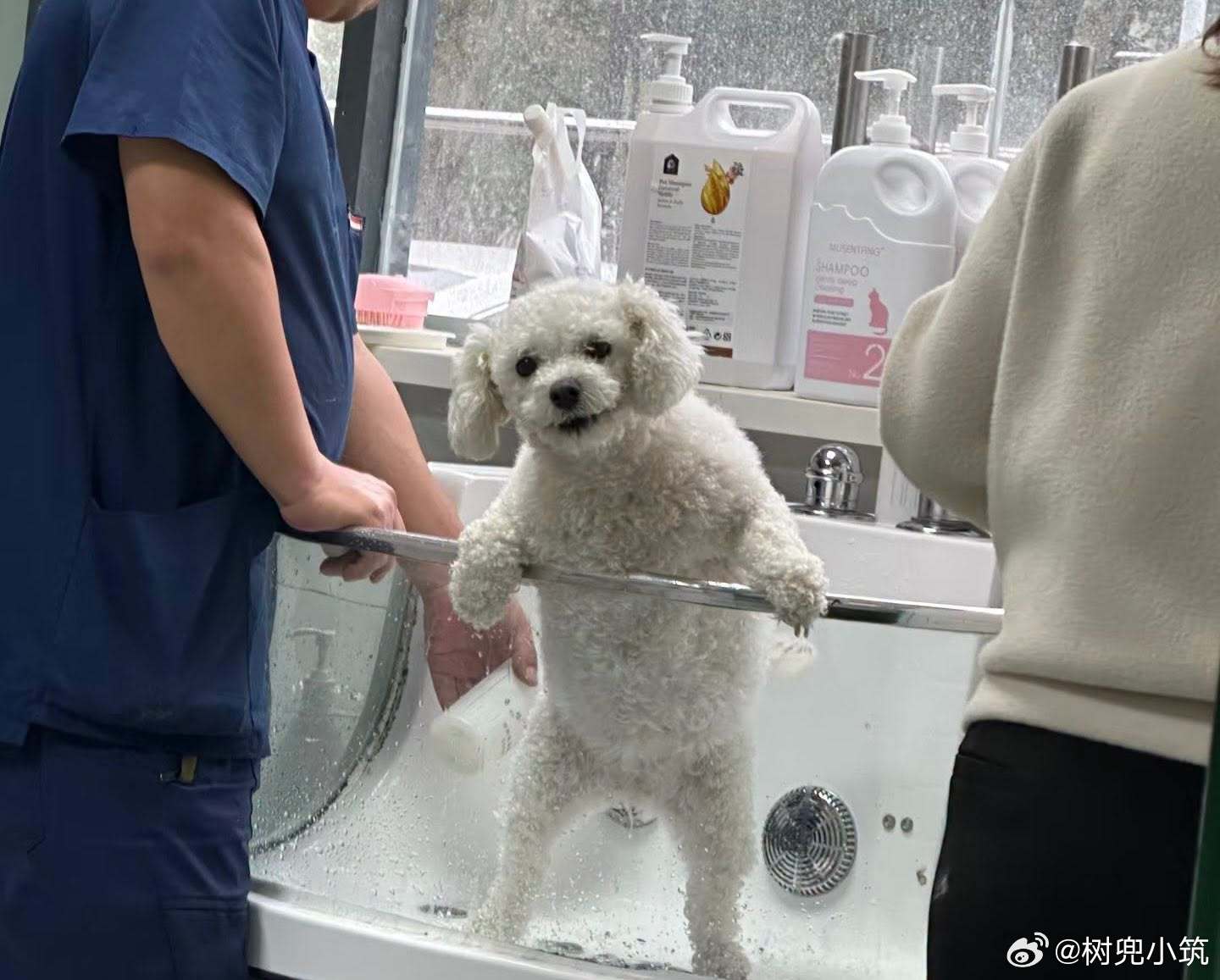【 主人！你来接我啦！ 】明明才离开半小时搞得像被遗弃了三天三夜一样委屈