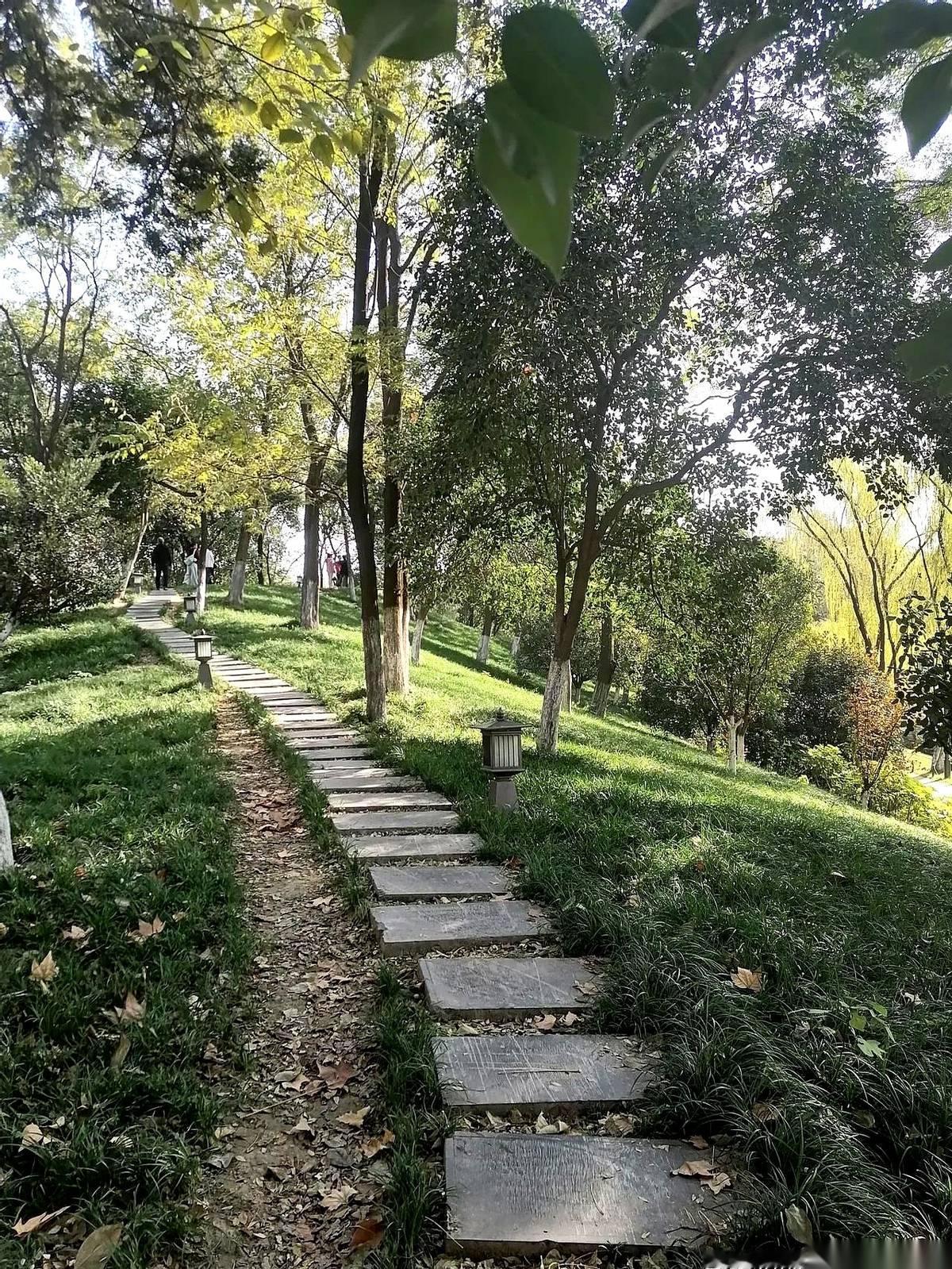 临门一脚，三十多万人直接弃考。
三十多万啊，这不是一个数字，这是一个个活生生的人