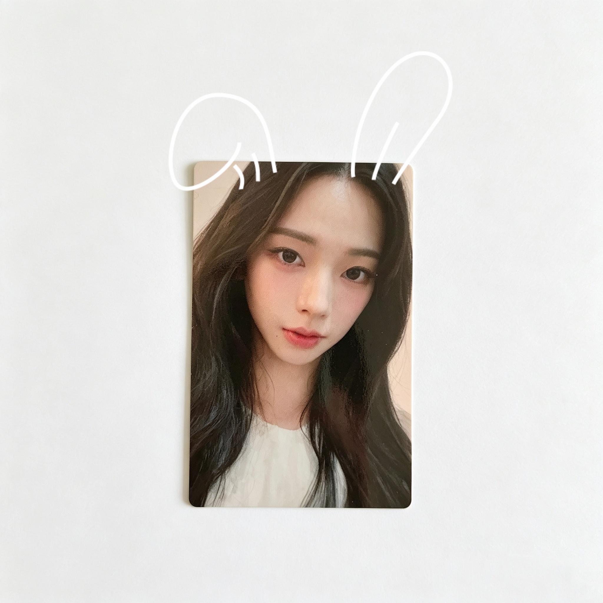 小兔子🐰 