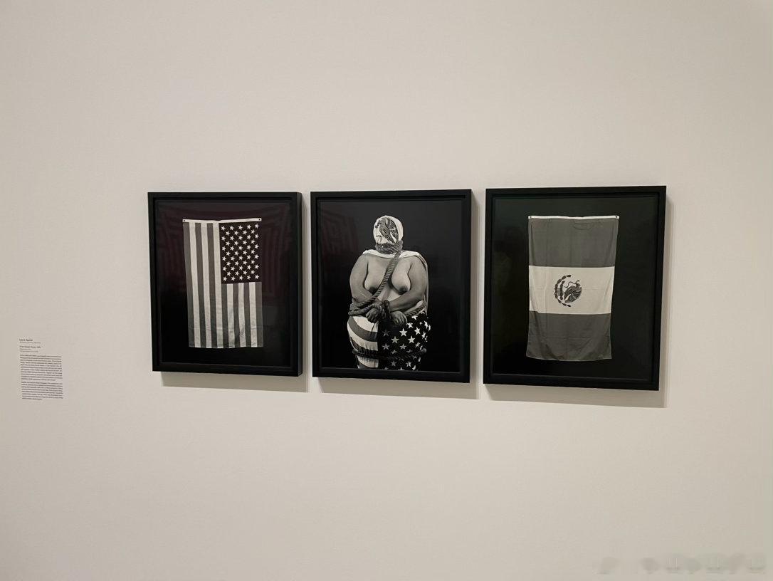 这不是美国国旗这个展览是从艺术家独特角度思考美国国旗。在别处，可能会被视为亵渎国