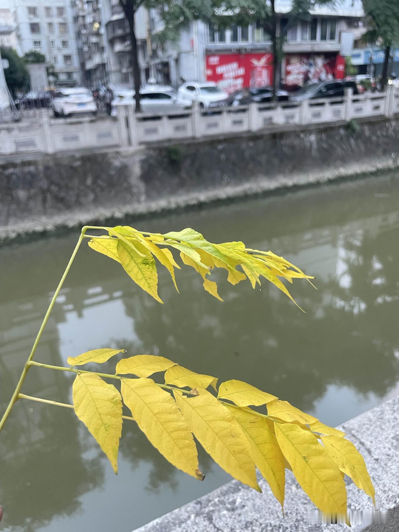 身边有好几个不到50岁的人，眼睛已经明显没有以前好了，不知道是什么原。