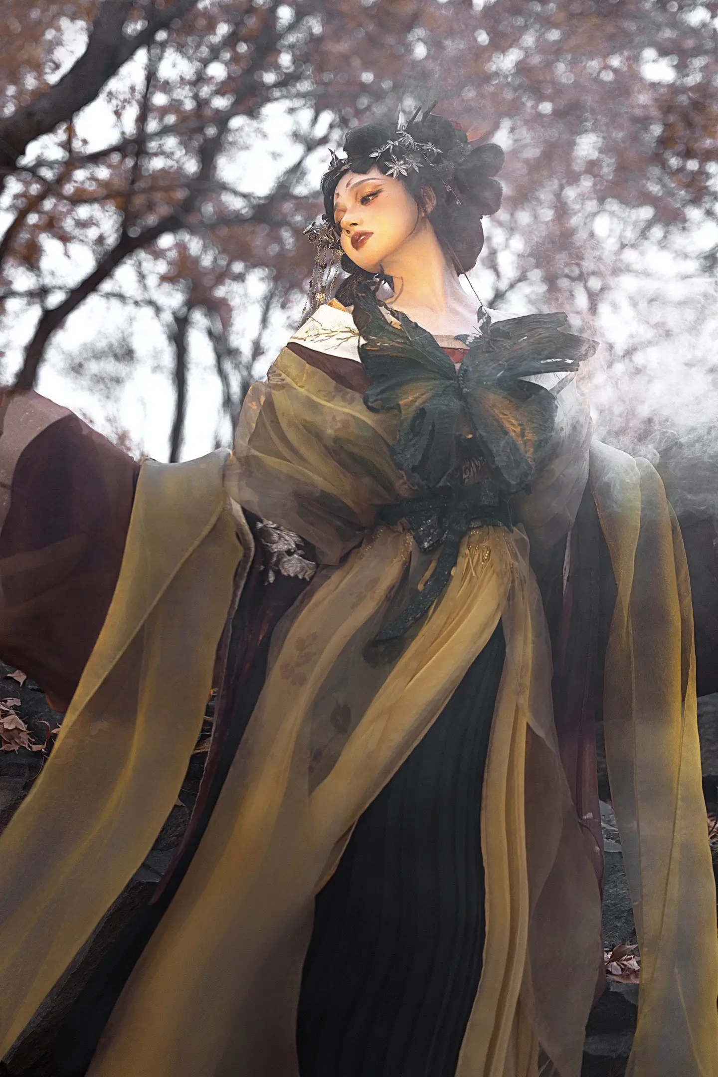 是寿命走到尽头的枯叶蝶、就跟秋天好好告个别吧🍂