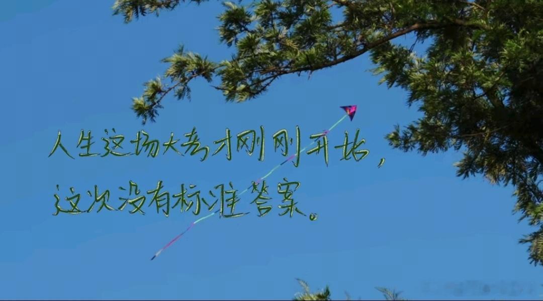 高考真是一场巨大的后知后觉 你把高考看得越重要，世界就坍缩得越小刚走出考场的你，