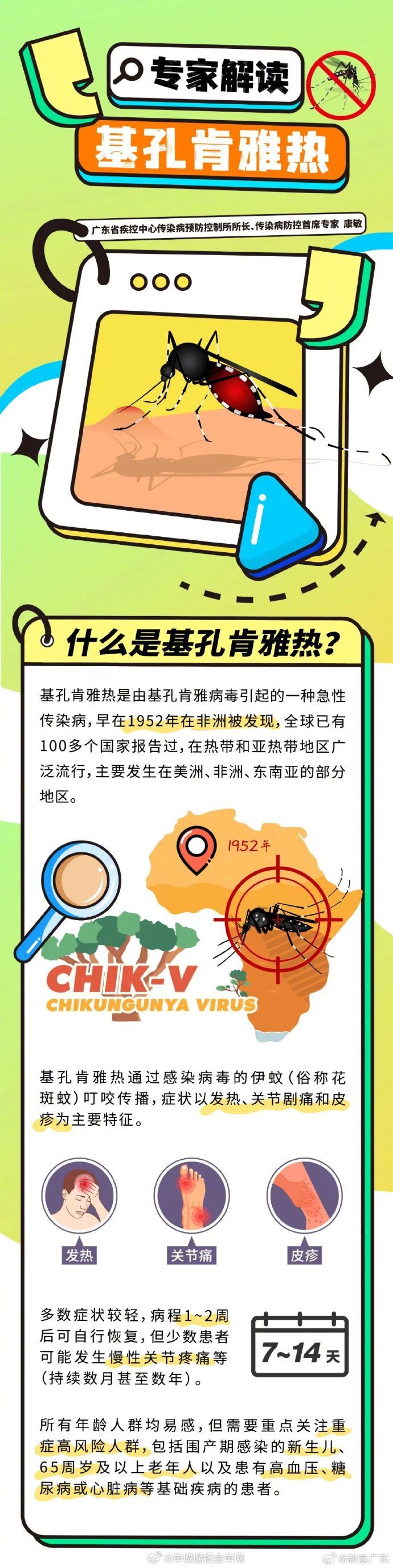 【#广东疾控专家解读基孔肯雅热#】广东夏日，蚊子又开始“搞事情”，基孔肯雅热病例