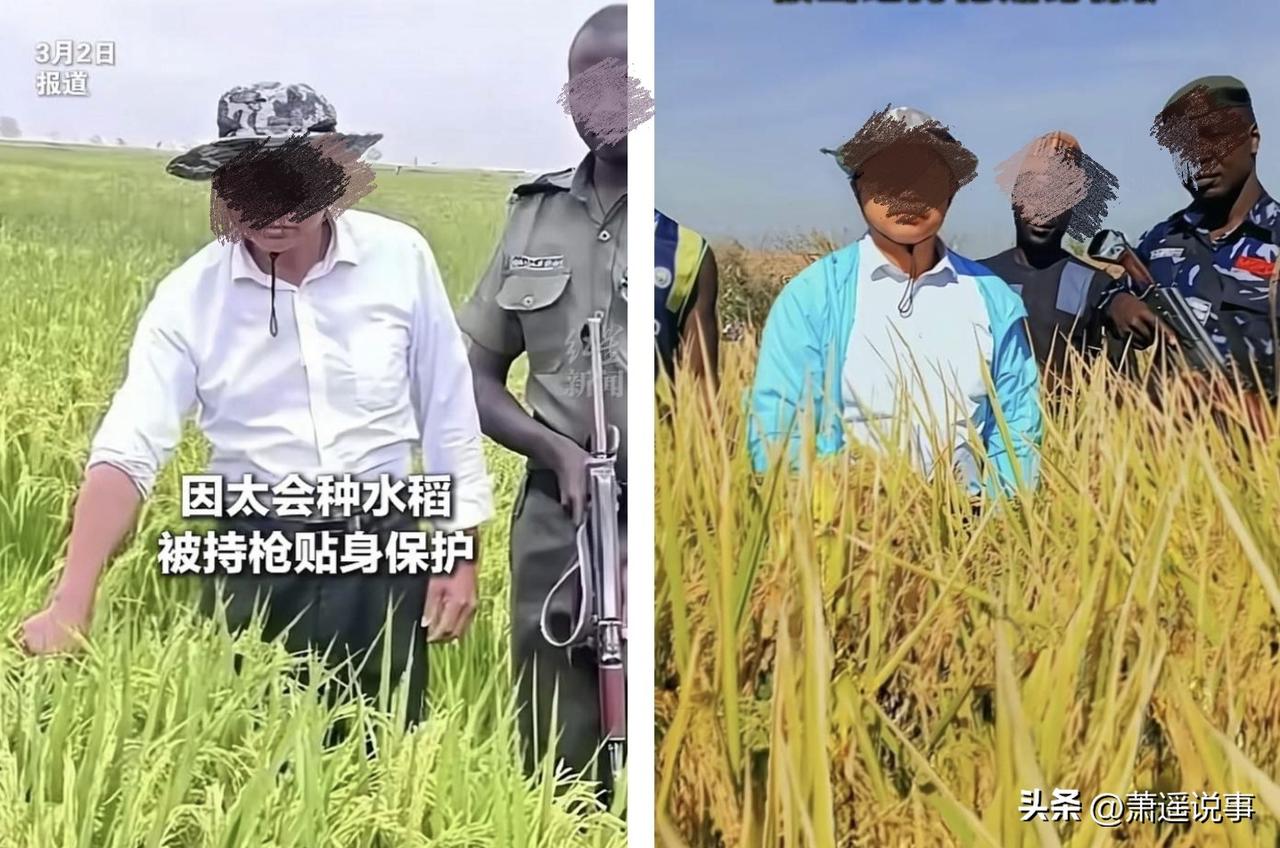 笑不活了，简直是降维打击，看来又给广大网友们萌生了一条淘金路线，只因贵州杨大叔太