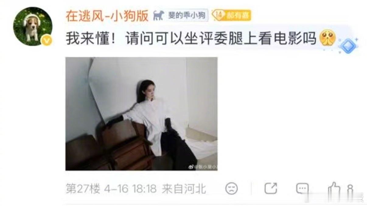 张小斐 可以坐评委腿上看电影吗 斐妈这组白衬衫大片氛围感拉满！慵懒松弛感拿捏得太