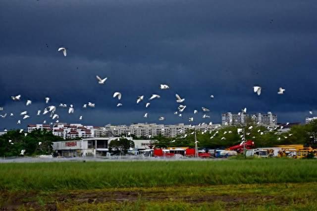 8时30分，海南解除暴雨四级预警：这场雨把东线房子考了一遍