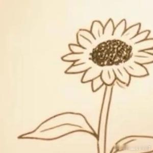 阳光信用  人生不必急于求成，默默沉淀慢慢深耕，时光从不辜负坚持的人，稳住脚步，